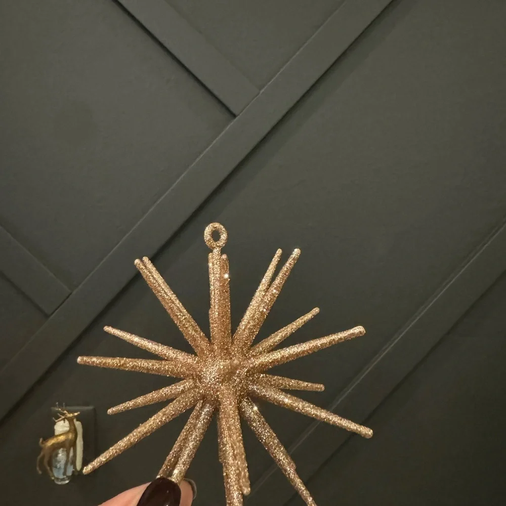 (14) Crate&Barrel Ornaments